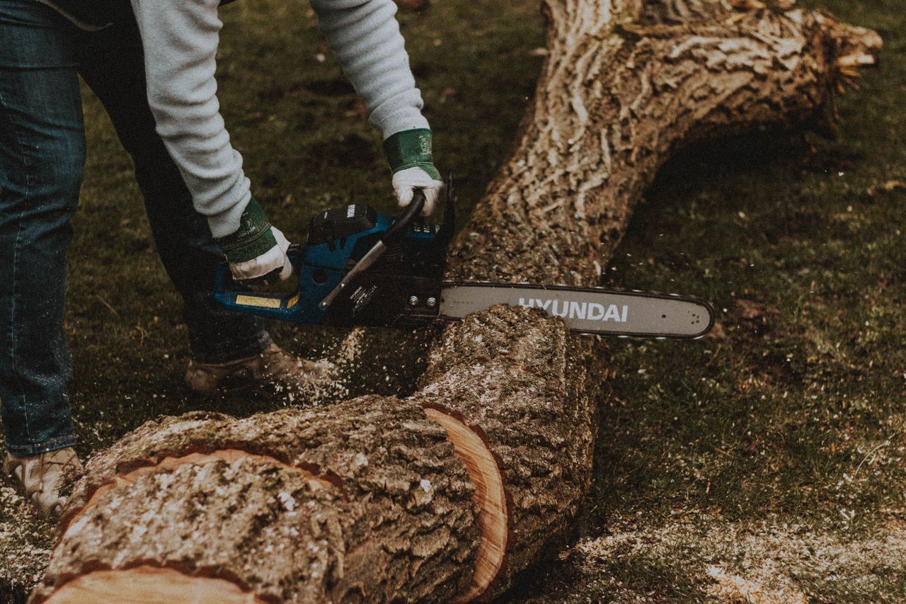 side view of faceless male worker sawing long curvy tree trunk with pr