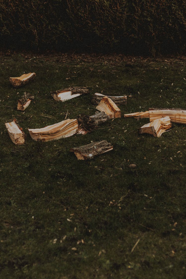 Chopped Firewood On Grassy Ground