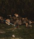 Axe in stump against cut tree trunks on meadow