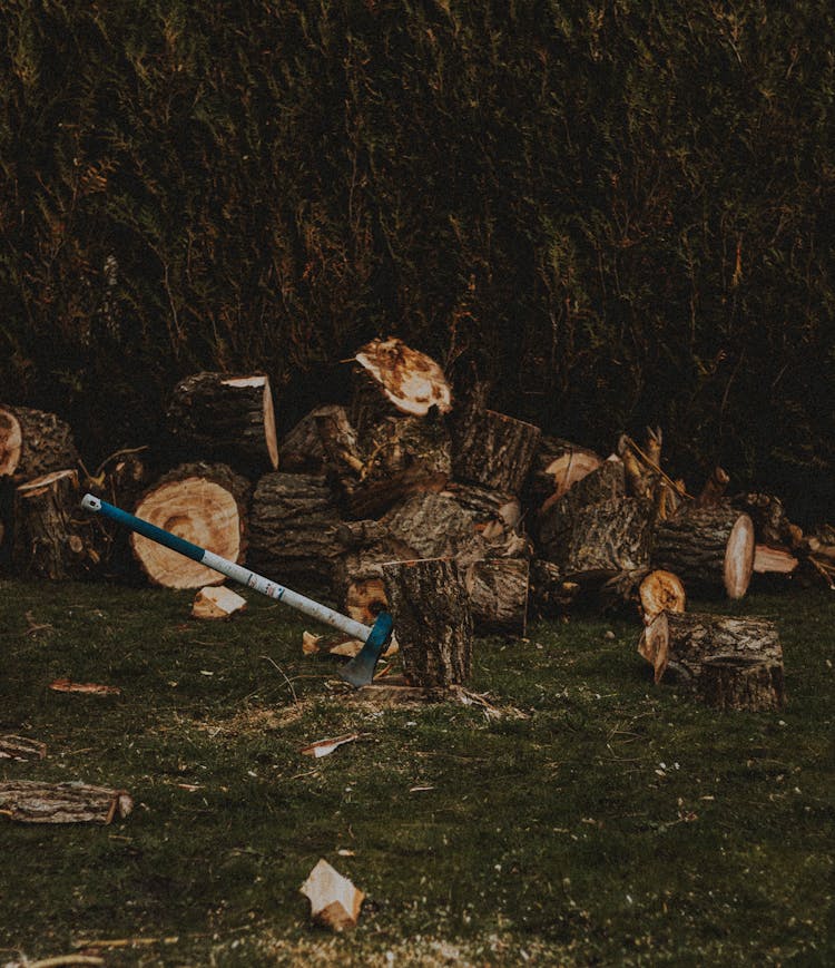 Axe In Stump Against Cut Tree Trunks On Meadow