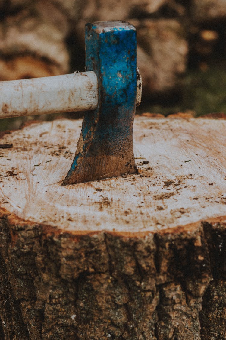 Old Axe With Rust In Dry Stump