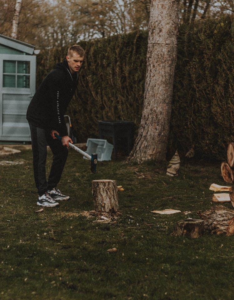 Man With Axe Above Tree Stump In Countryside