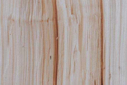 Textured backdrop of cut firewood with rough surface