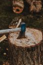 Ax with metal blade in cut tree trunk with rugged bark in daytime on blurred background