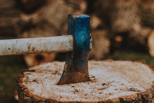Ax with weathered handle and blade in cut tree trunk with dry surface in countryside