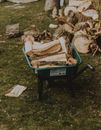 Wheelbarrow with pile of firewood on lawn