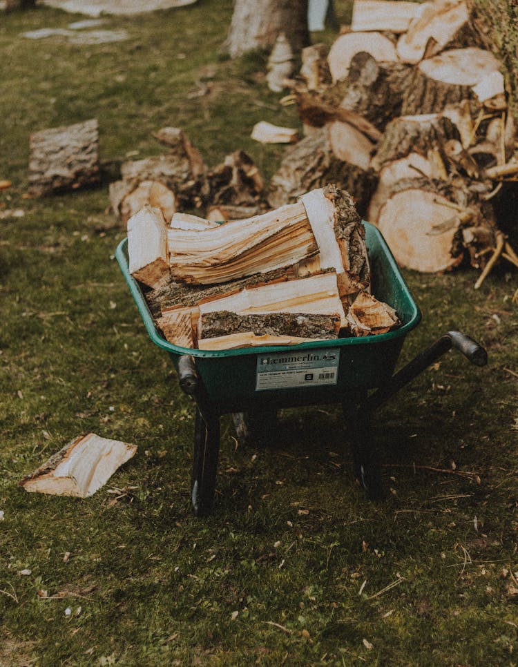 Wheelbarrow With Pile Of Firewood On Lawn