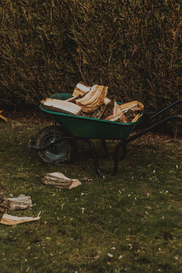 Wheelbarrow With Woodpile On Meadow Against Hedge