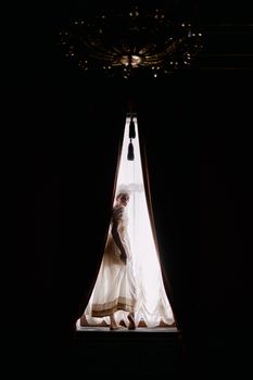 Vintage-themed portrait of a person in Victorian-era costume standing by a windowsill.. vintage, themed, portrait
