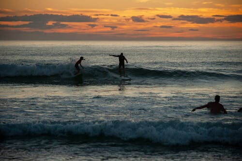 Silhouette of Two People Surfing on Sea Waves during Sunset