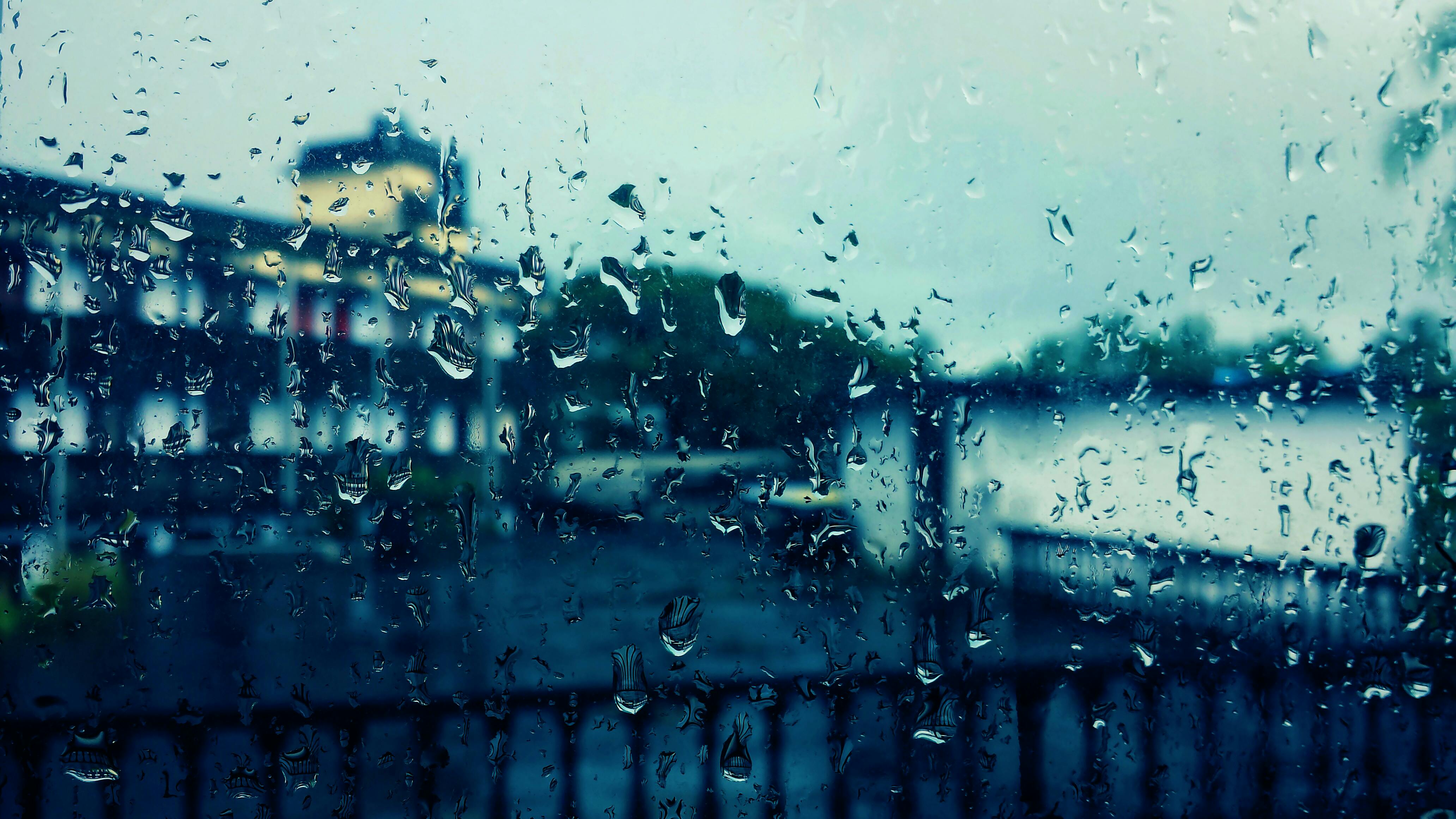Kostenloses Foto zum Thema glas nass regen 