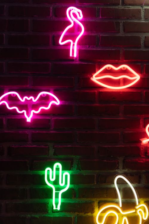 Free Bright neon signs on a brick wall featuring flamingo, cactus, and lips in vivid colors. Stock Photo