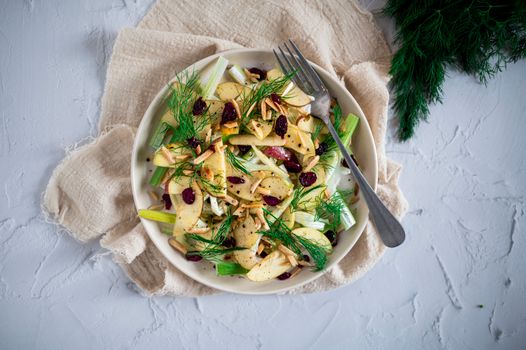 Vibrant apple and fennel salad garnished with almonds and cranberries, top view.