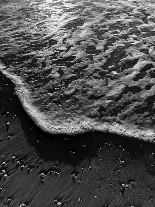 Grayscale Photo of a Wave Crashing the Shore