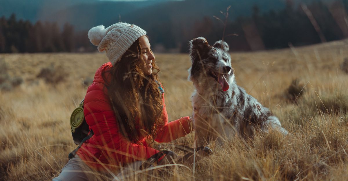 Pet Sitting vs. Boarding: Which Is Better?