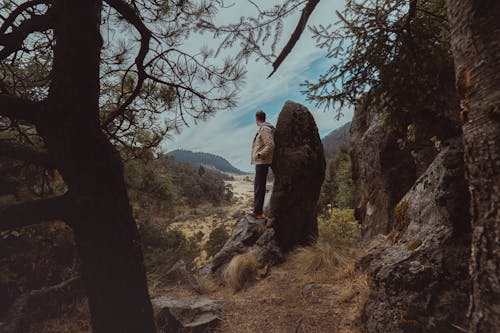 Δωρεάν στοκ φωτογραφιών με άνδρας, δέντρα, μεγάλα βράχια