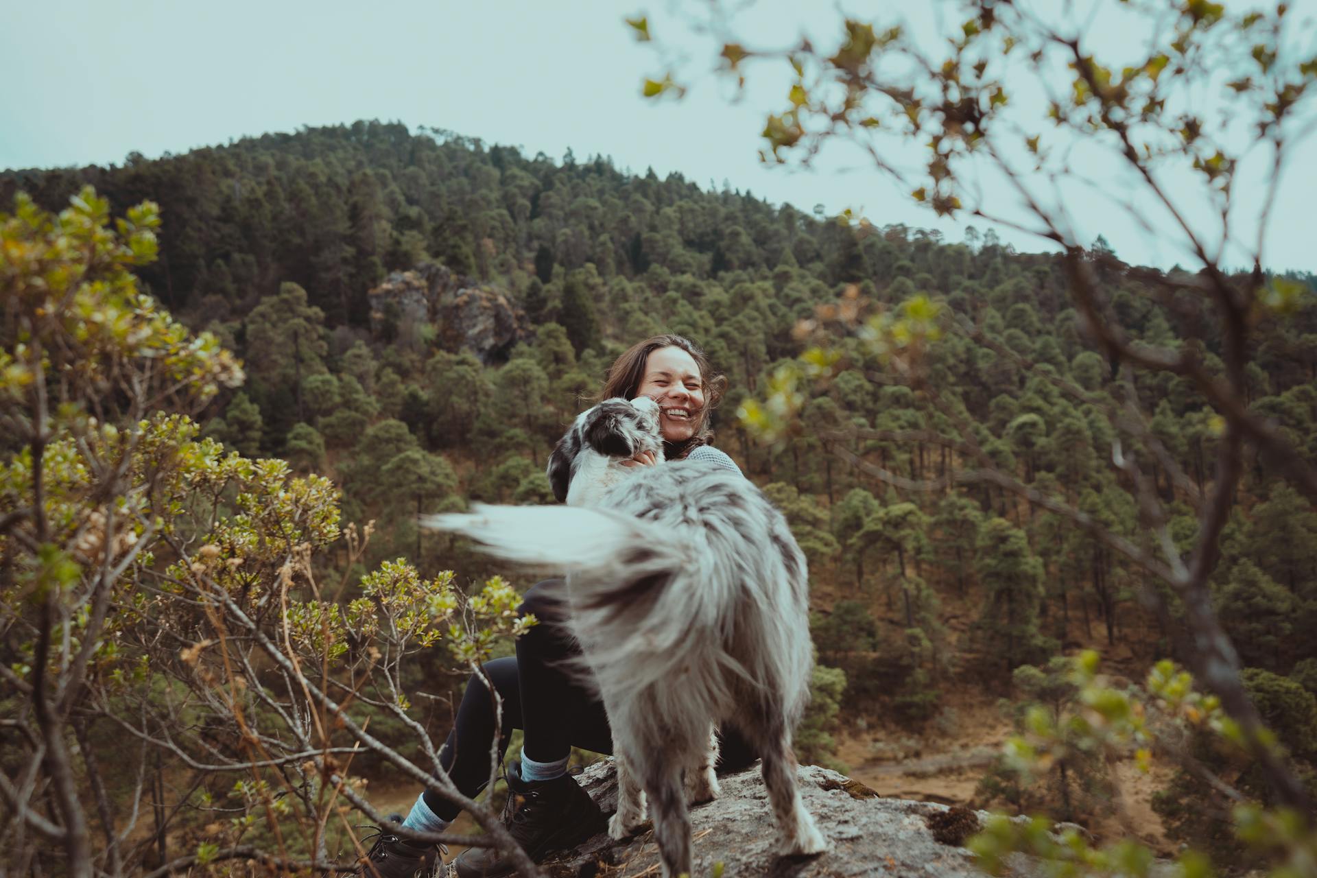 Owner and Pet having Good Time Together