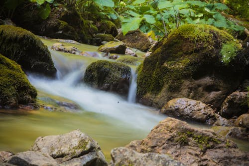 岩石, 森林河, 水 的 免費圖庫相片