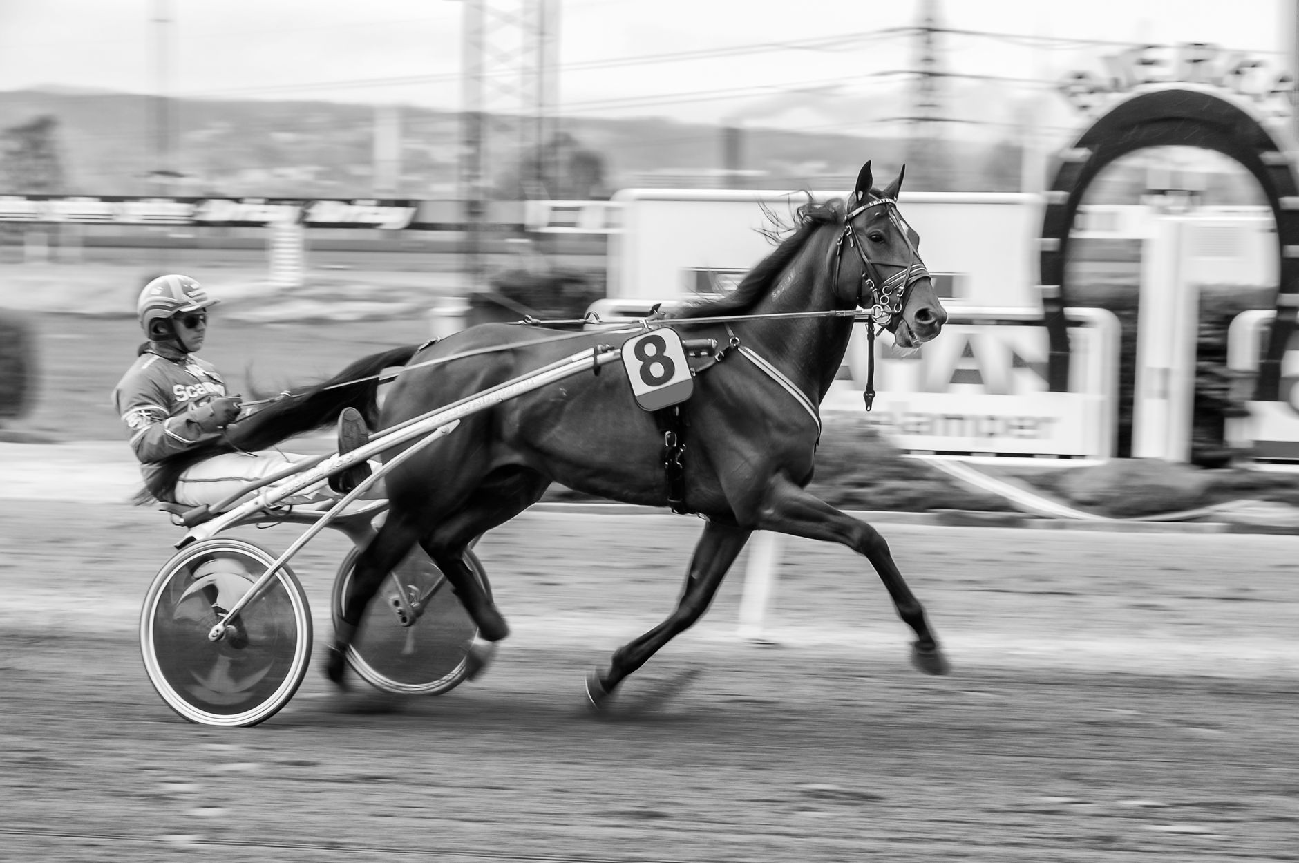 Black and white image of a harness racehorse and rider in action on the track.