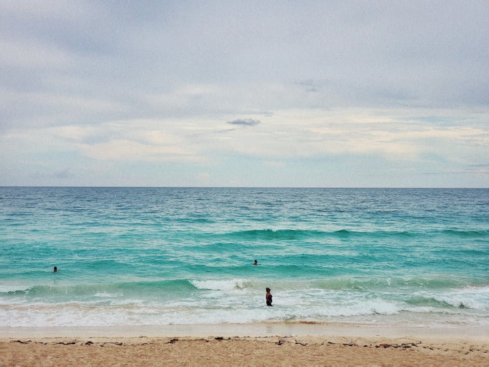 People Swimming at the Sea