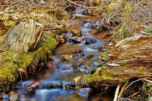 Flusso Di Acqua Sulle Insenature