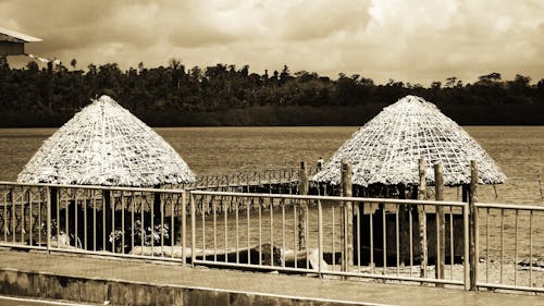 Grayscale Photo of Huts