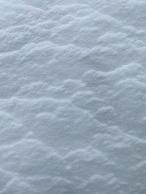 垂直拍攝, 大雪覆蓋, 特寫 的 免費圖庫相片