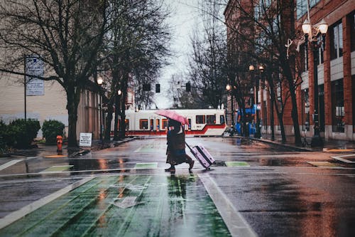 Pedestrian with pink umbrella and suitcase on wheels crossing asphalt roadway on zebra near bike lane under rain