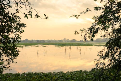 Free stock photo of early sunrise, morning, nature landscape