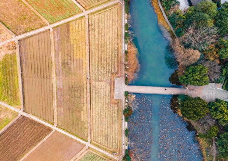 Aerial Photography Of An Extensive Farm Field