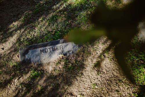 Kostenloses Stock Foto zu boden, erde, friedhof