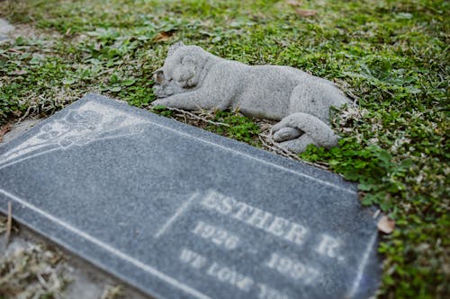 Free Close-Up Shot of Gray Tombstone on the Grass Stock Photo