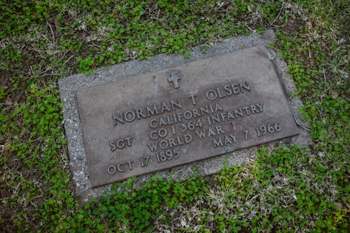 «Флуимуцил»