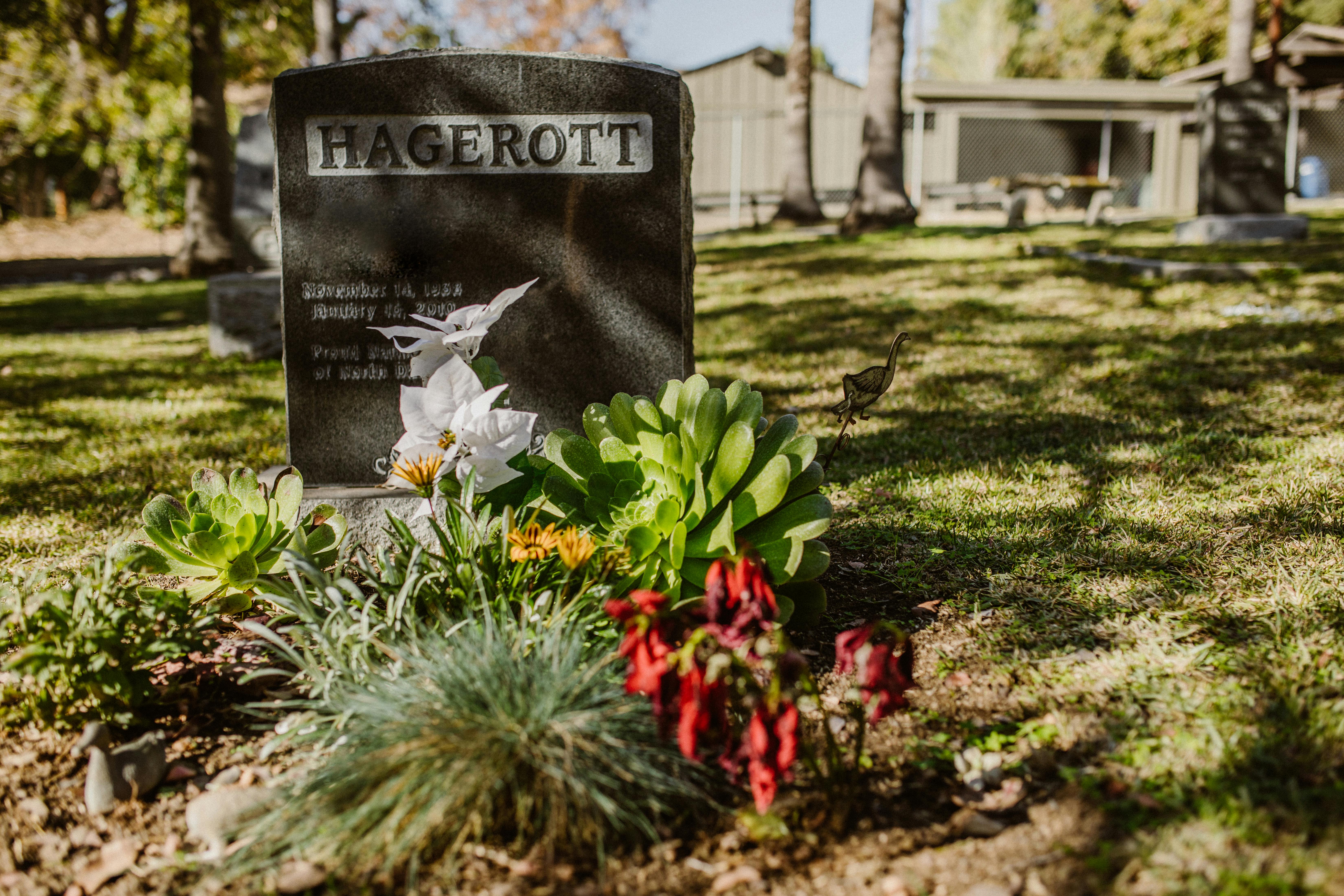 Gravestone in a peaceful cemetery surrounded by greenery and flowers.