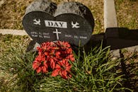 Red Flowers With Green Leaves