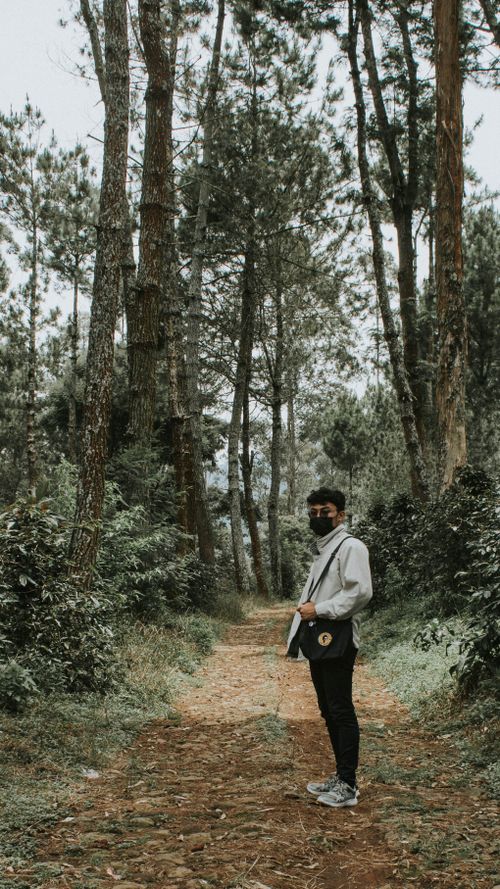Free A man with a facemask walks through a forest path, surrounded by tall trees. Stock Photo