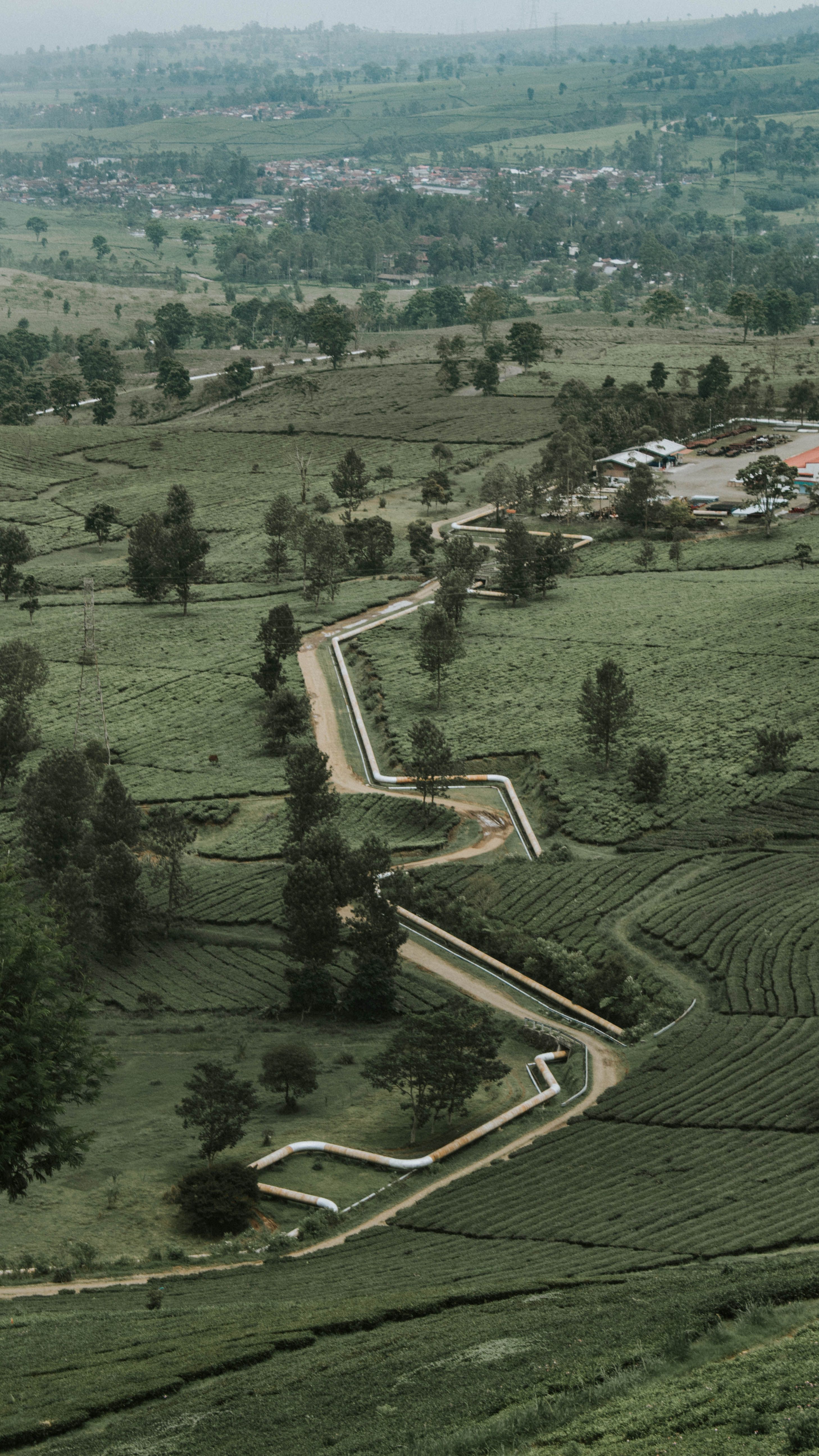 Agropole Development in Africa: A Strategic Investment Paradigm Shift