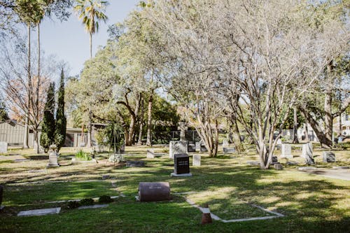 免費 墓園, 墓碑, 樹木 的 免費圖庫相片 圖庫相片