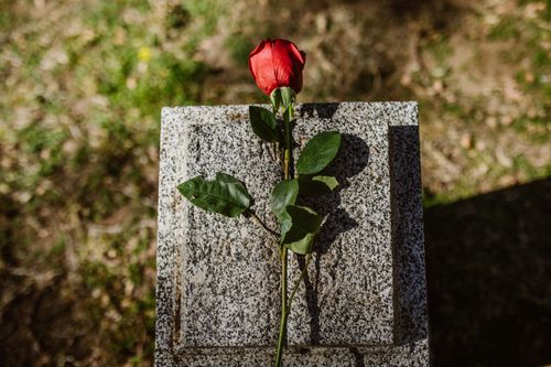 Free A poignant image showcasing a red rose on a tombstone in a sunlit cemetery, symbolizing love and remembrance. Stock Photo