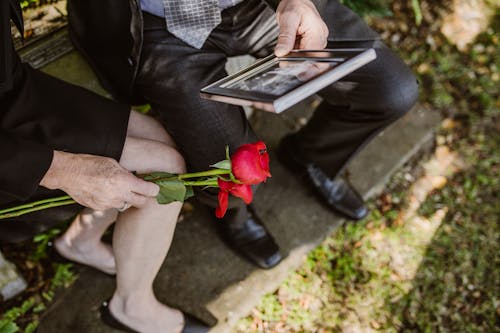 Бесплатное стоковое фото с держать, изображение, красные розы