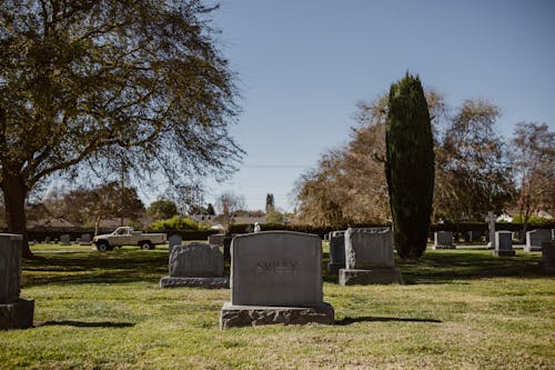 Free Gray Tombstones on Grass Field Stock Photo