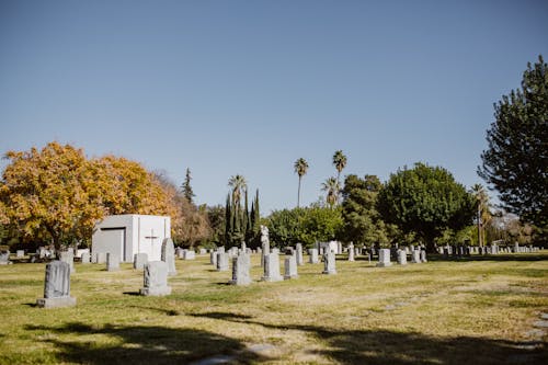 Free Photo of Graveyard during Daytime Stock Photo