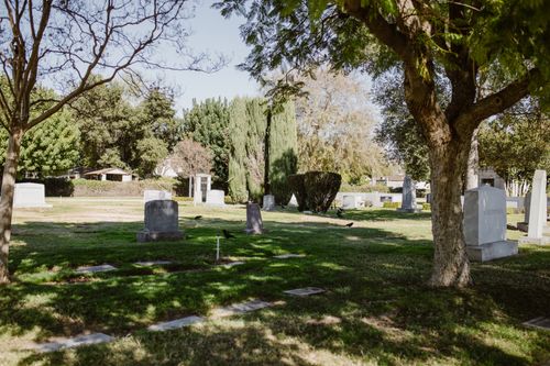 Free A serene cemetery landscape with gravestones, trees, and lush greenery under a bright day. Stock Photo