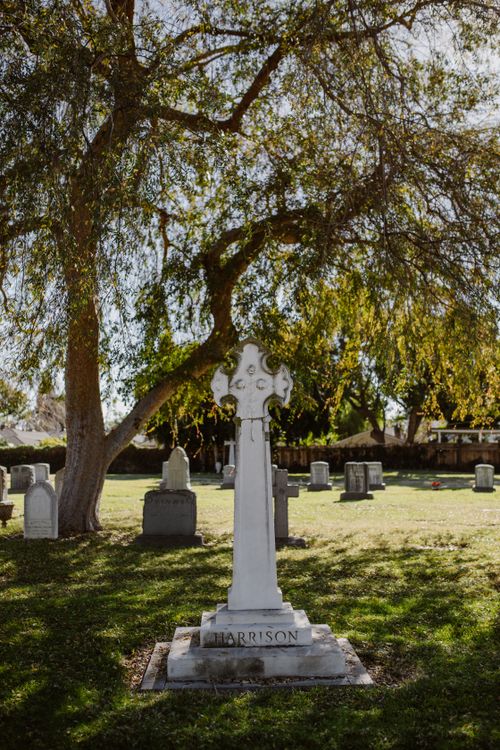 Free Peaceful cemetery scene with elegant tombstones under a large tree. Stock Photo