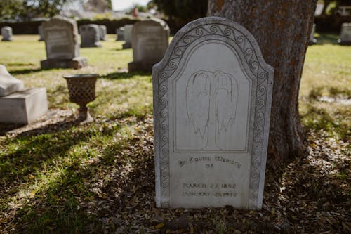 Free Gray and White Tombstone Stock Photo