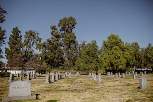 Cemetery Surrounded with Trees Under Gray Sky