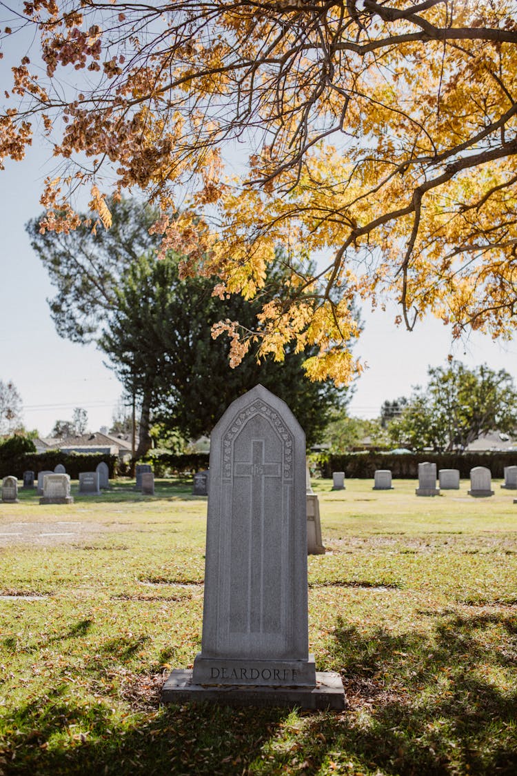 Gray Gravestone In A Cemetery