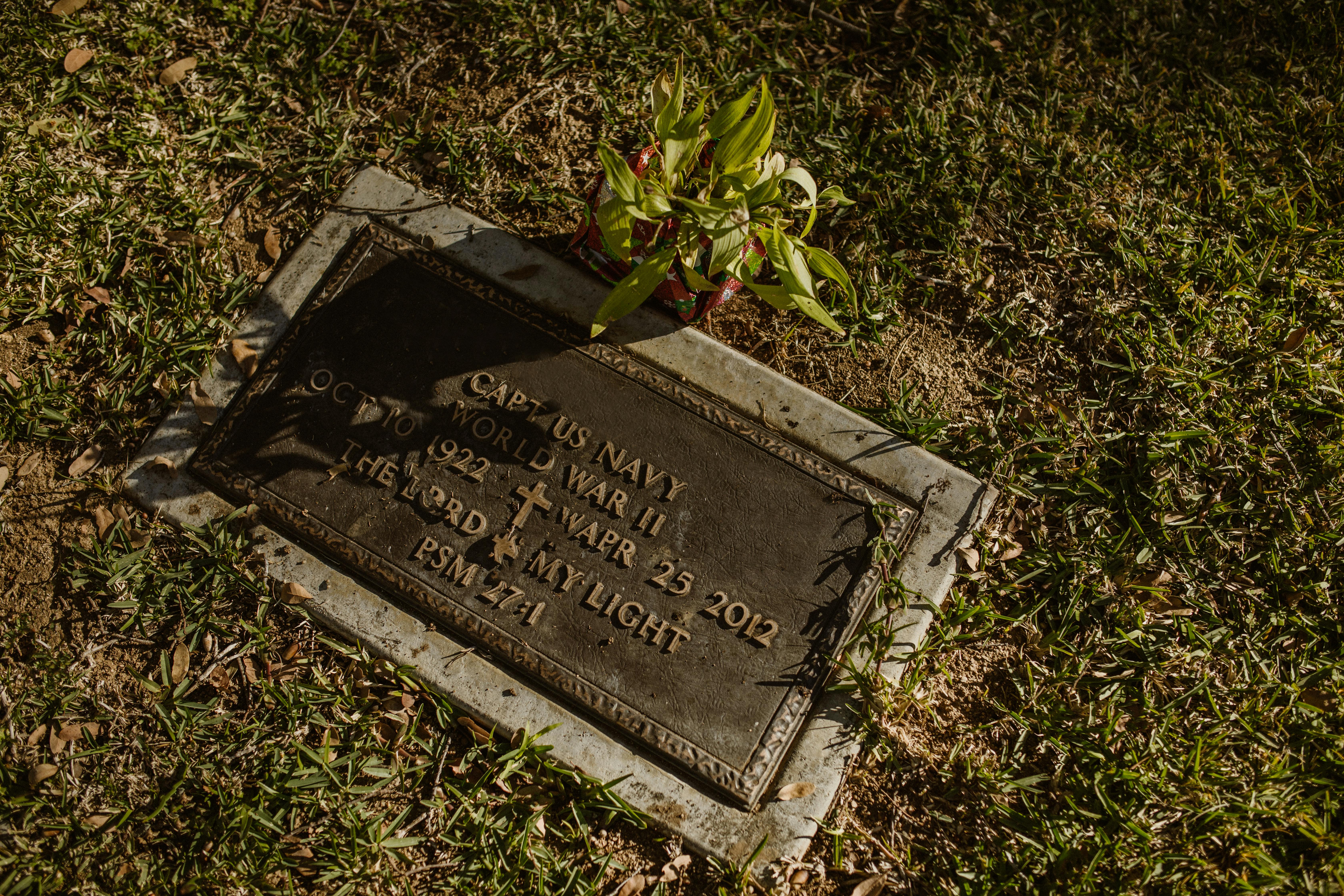 Close-up of a World War II veteran's tombstone with a plant placed on top, under sunlight.