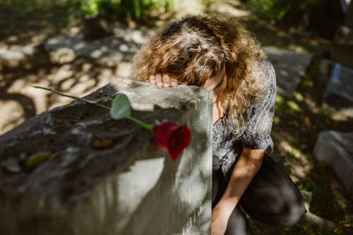 Immagine gratuita di aborto spontaneo, albero, amanti del cimitero