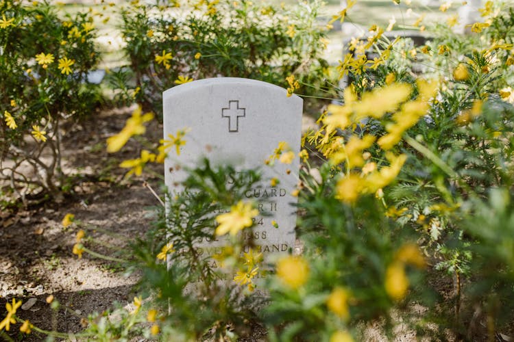 A Marble Tombstone Surrounded With Yellow Flowers